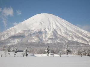 424320_194329787340753_987401883_n